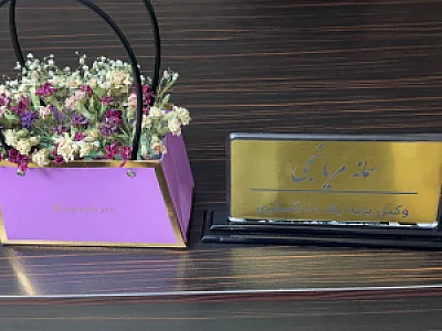 وکیل سمانه مریانجی
