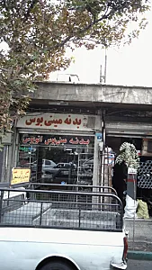 بدنه مینی بوس