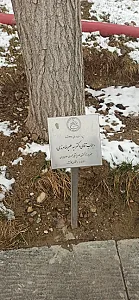کانون بانکهای خصوصی
