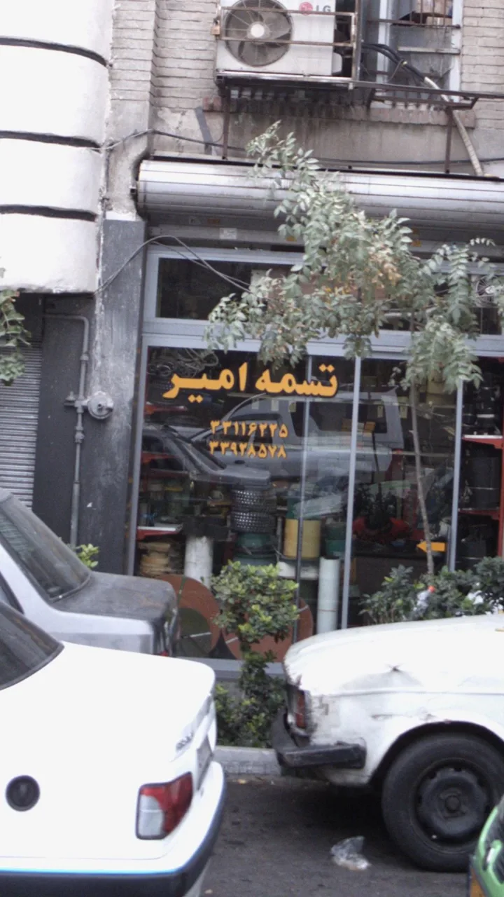 تسمه امیر - تصویر 2