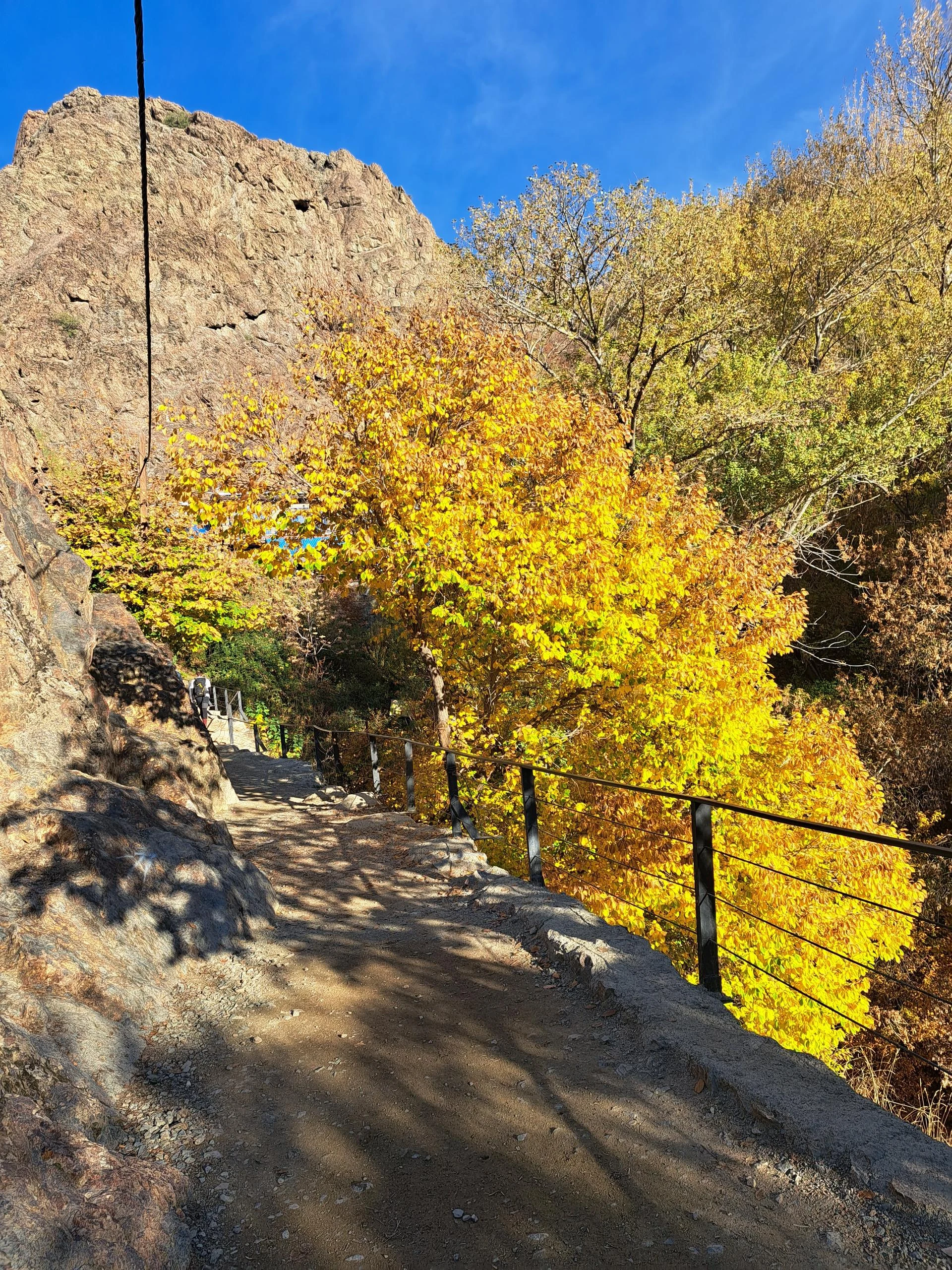 کبابخانه نگین - کبابی و چلوکبابی در تهران