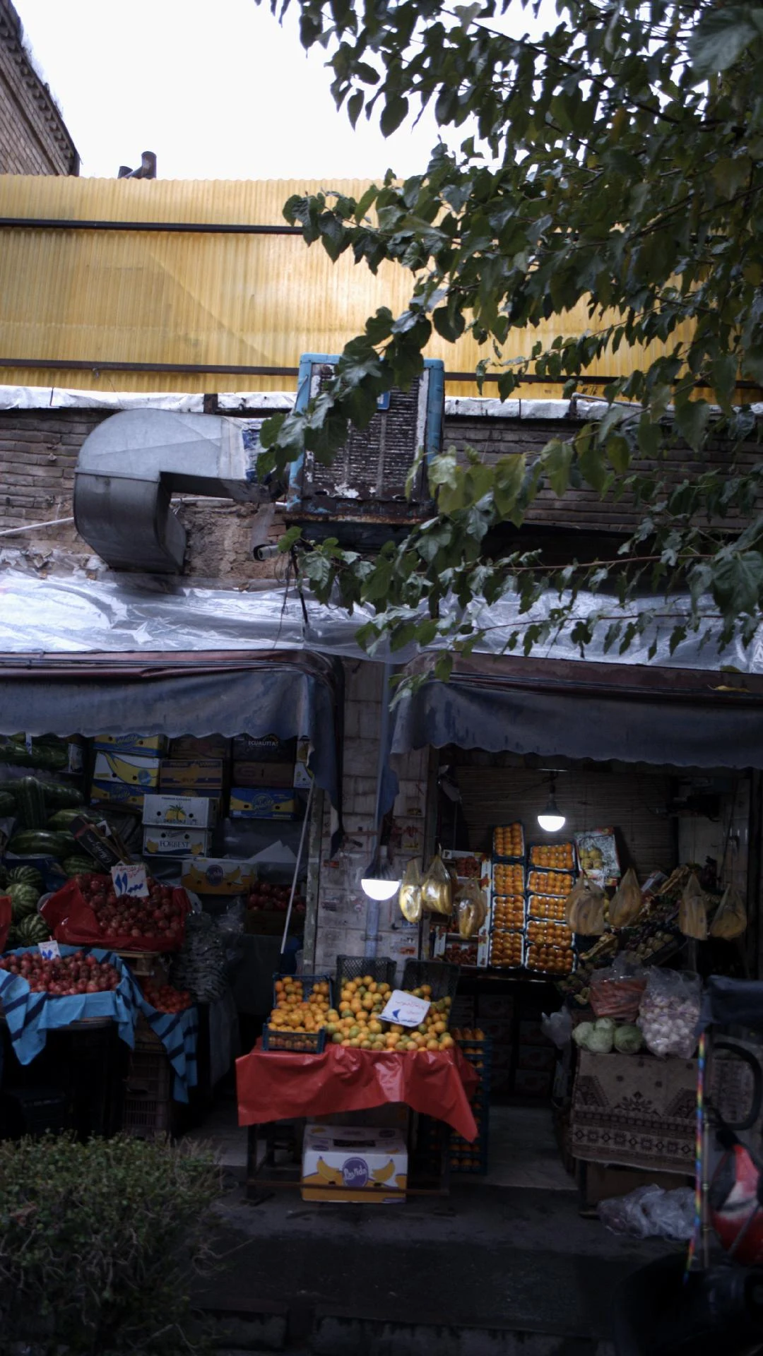 تعاونی میوه و تره بار باغداران فجر - تصویر 3