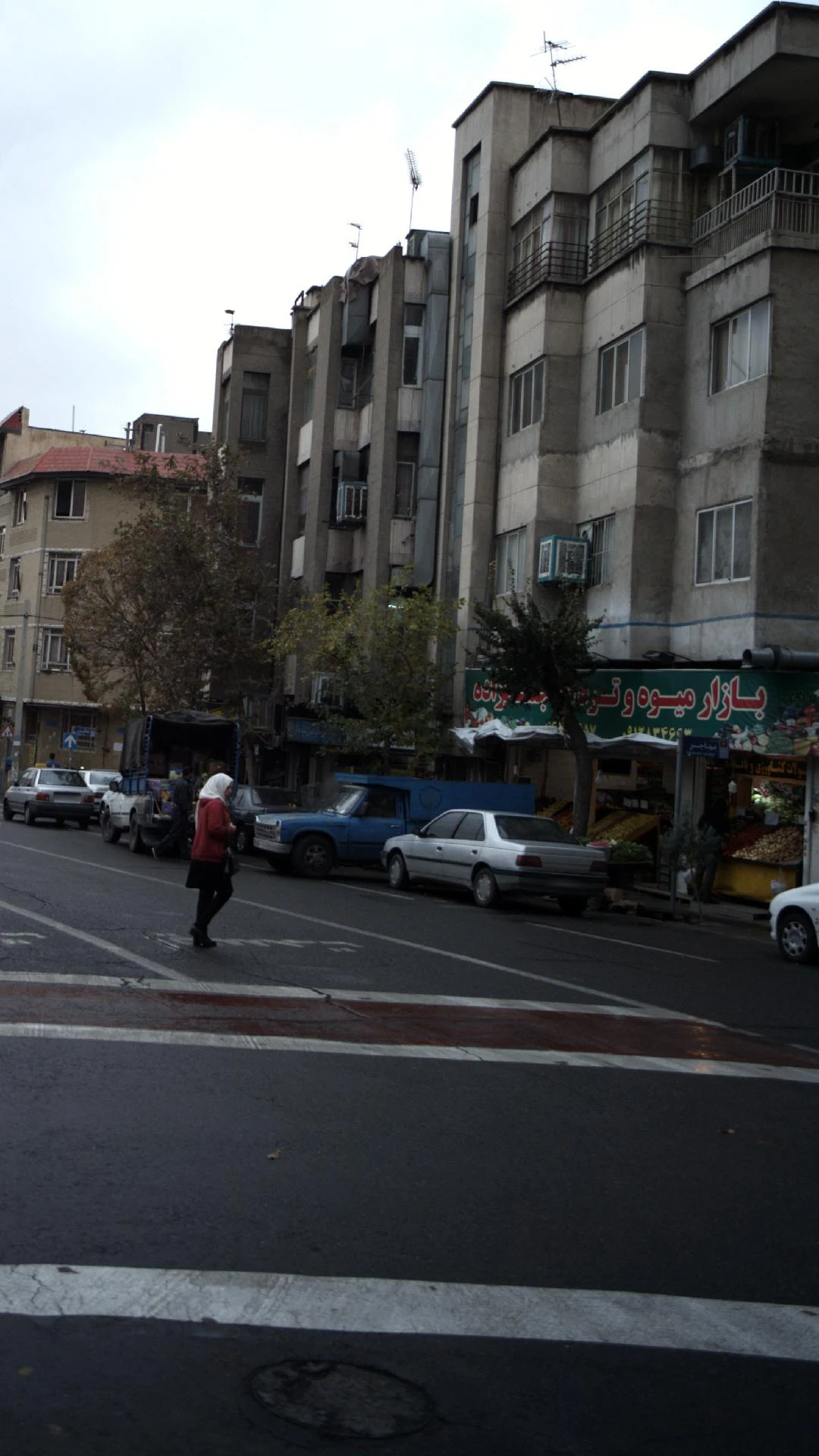 تعاونی میوه و تره بار باغداران فجر - تصویر 4