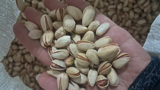 فروش آنلاین خشکبار سبزوار