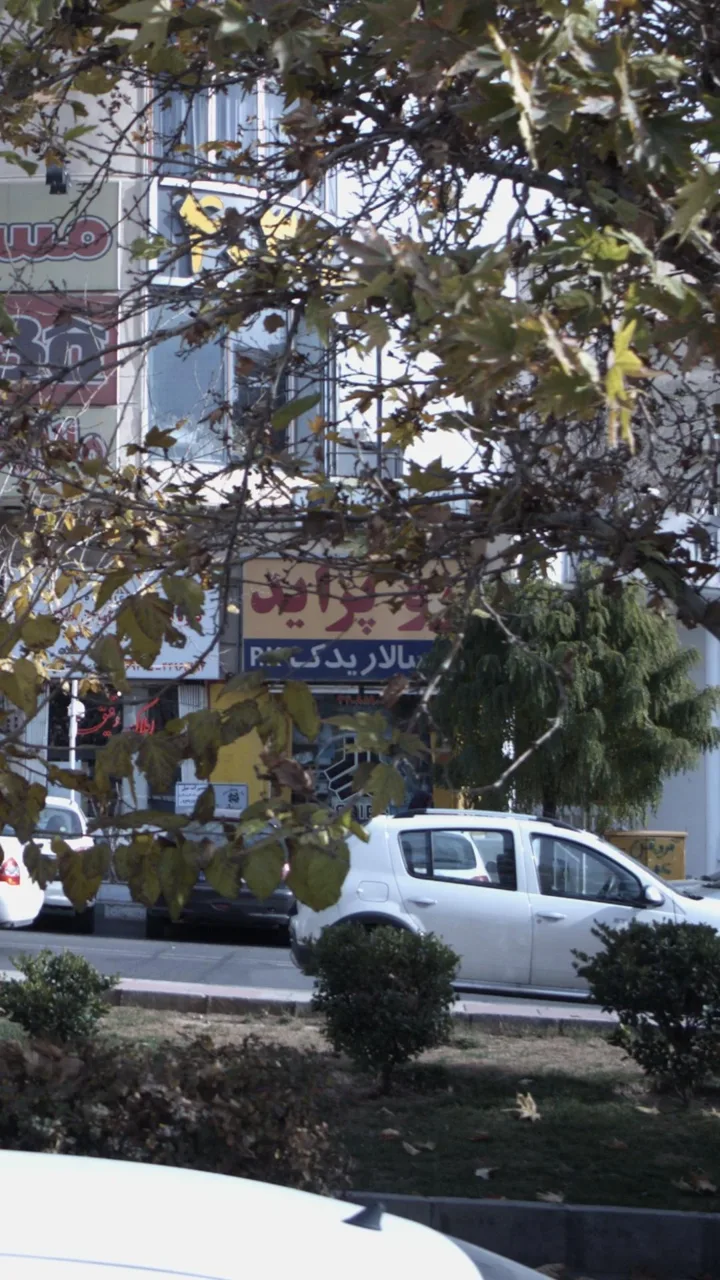 سالار یدک - تصویر 2