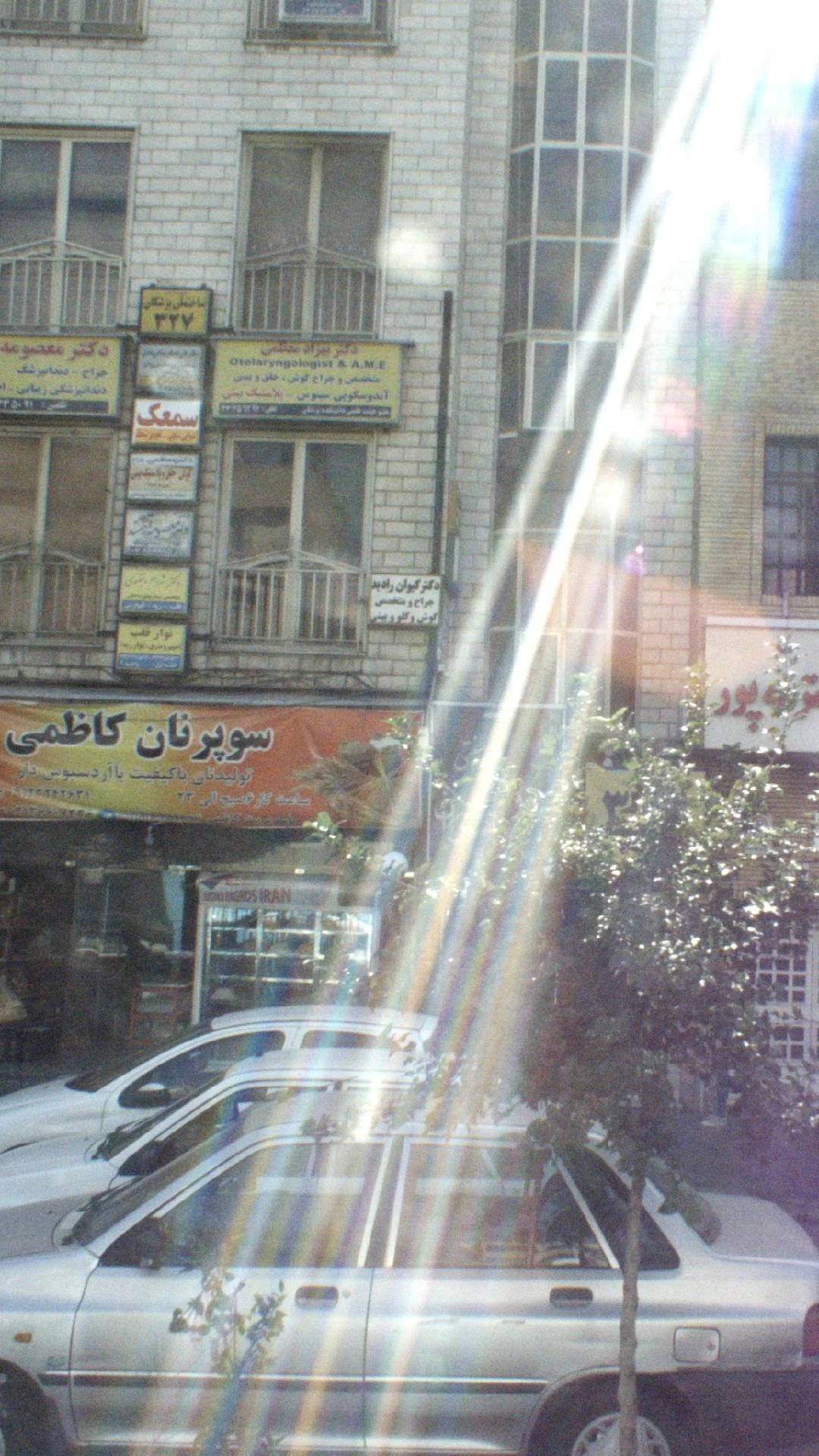 دکتر الهه رضائی