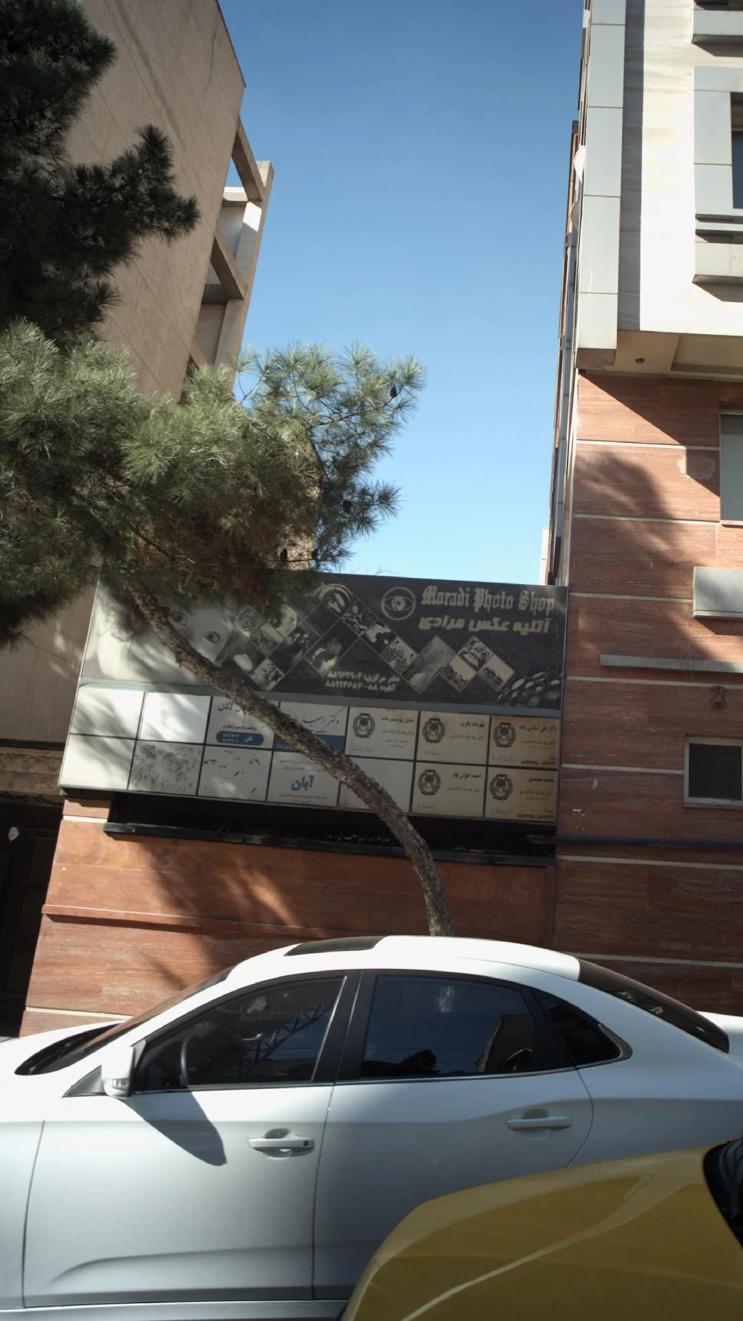 آتلیه نسیم ناصری - تصویر 2