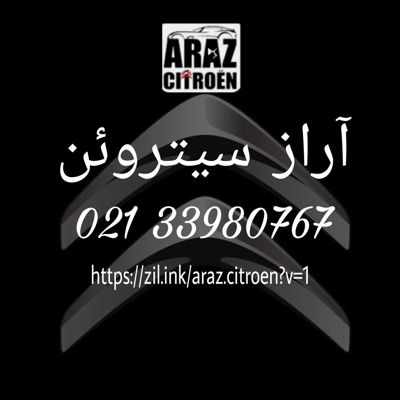 لوازم یدکی سیتروئن پژو Ds (آراز سیتروئن) - تصویر 2