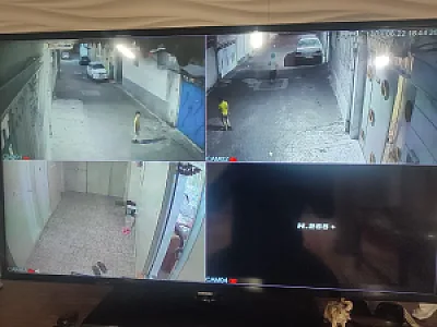 سوئیت پیرباوفا