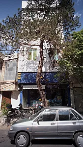 پارس یدک