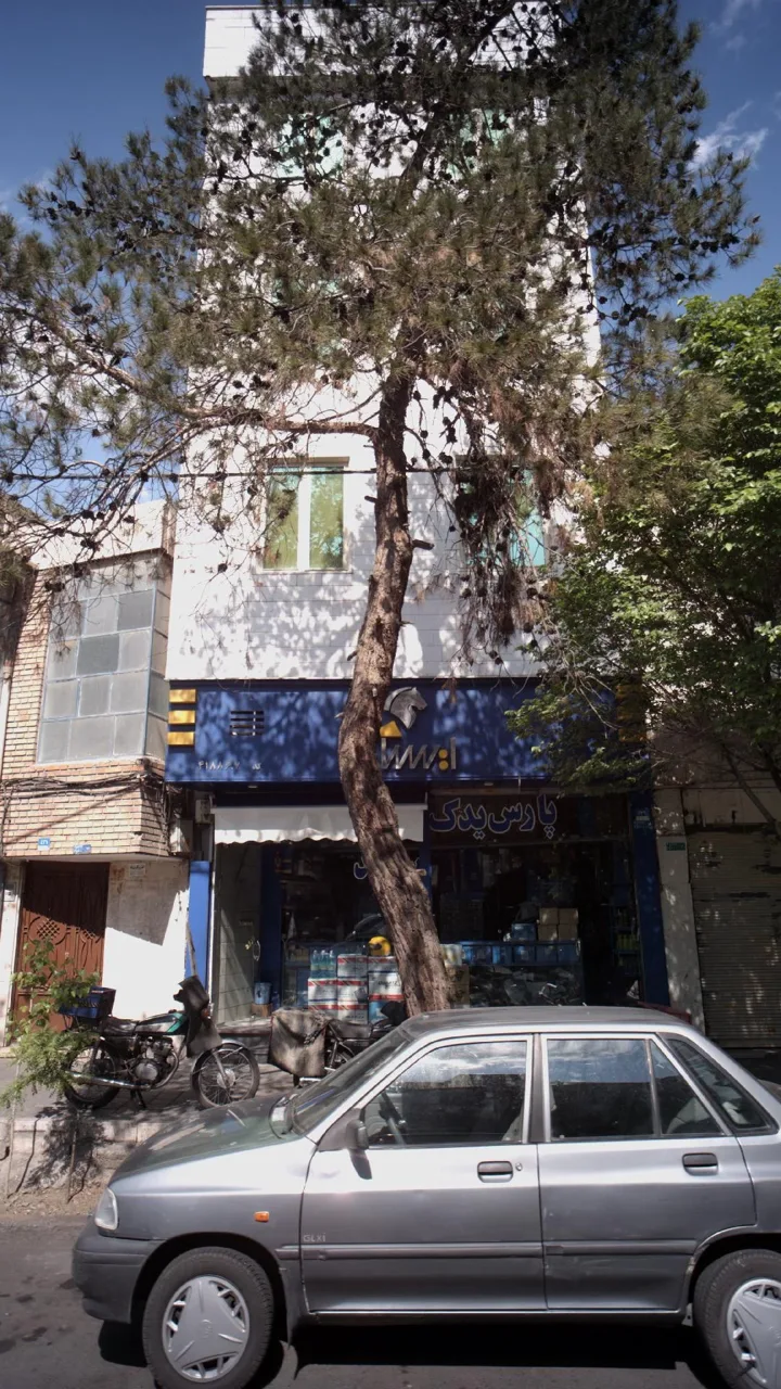 پارس یدک