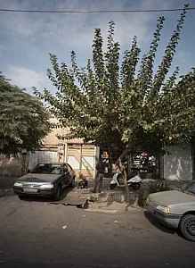 فروشگاه مهدی