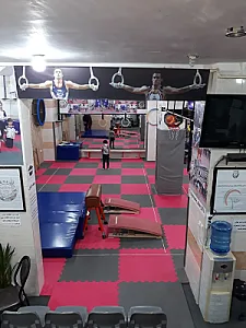ژیمناستیک ولیعصر