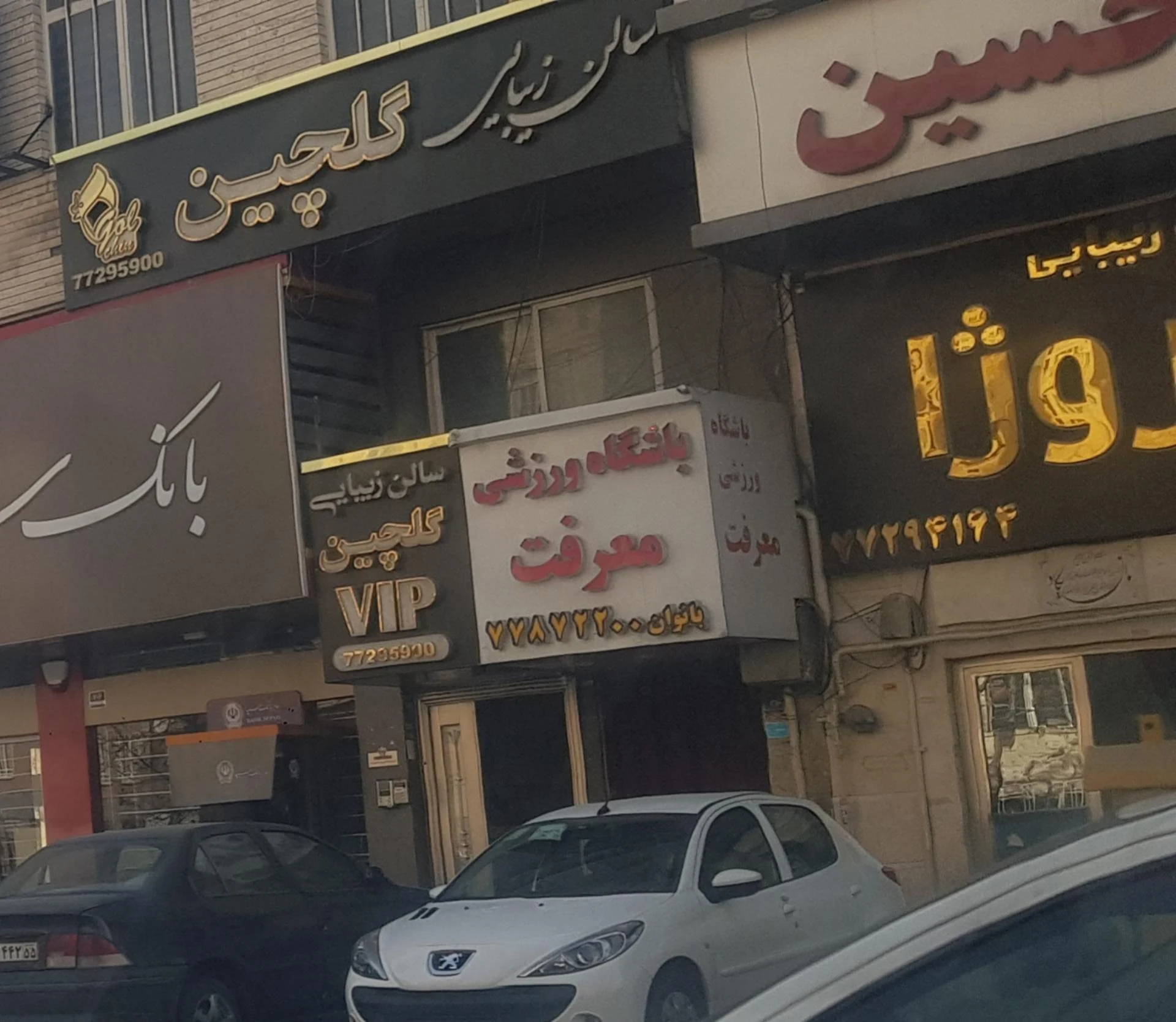 سالن گلچین