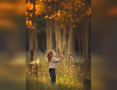 گروه هنرهای تصویری اِنگار