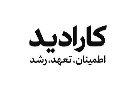 فروشگاه کارادید دوربین دزدگیر سانترال