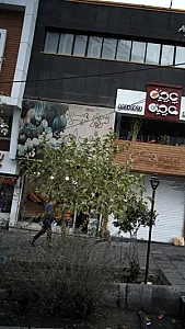 سوپر میوه تک