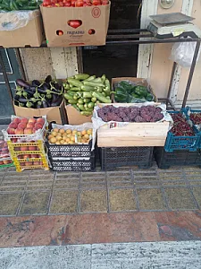 میوه فروشی قائم