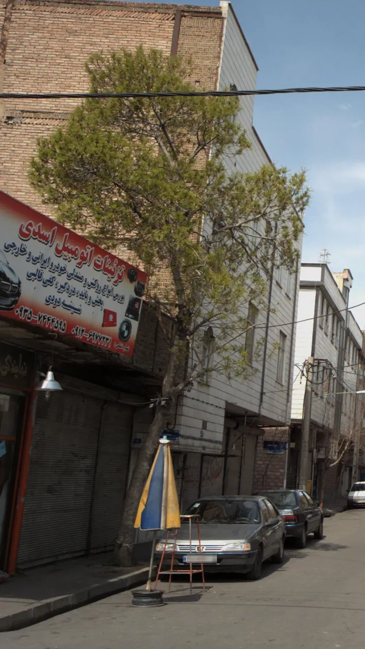 تزئینات اتومبیل اسدی