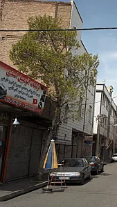 تزئینات اتومبیل اسدی