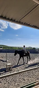 سوارکاری شاهد