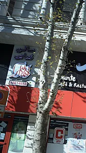 سالن زیبایی پروا بیوتی