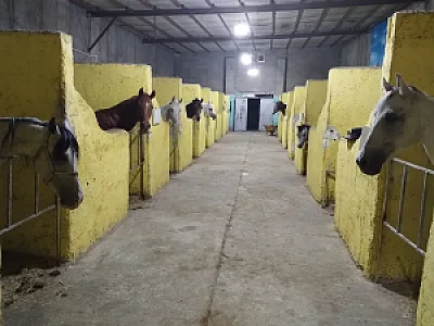 باشگاه سوارکاری سورن