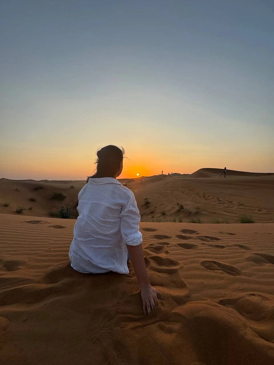 تور سافاری دبی با قیمت ویژه - تصویر 3