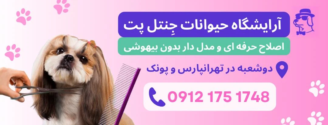آرایشگاه حیوانات جنتل پت (پونک) - تصویر 3
