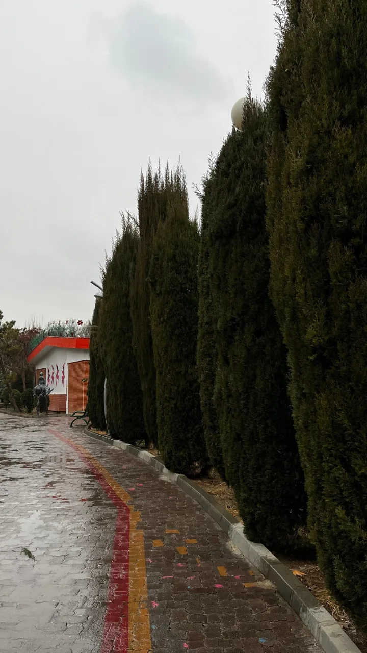 مرکز تئاتر و نمایش عروسکی کانون پرورشی کودکان و نوجوانان - تصویر 5