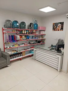 پارسیان کت (خرید و فروش گربه)