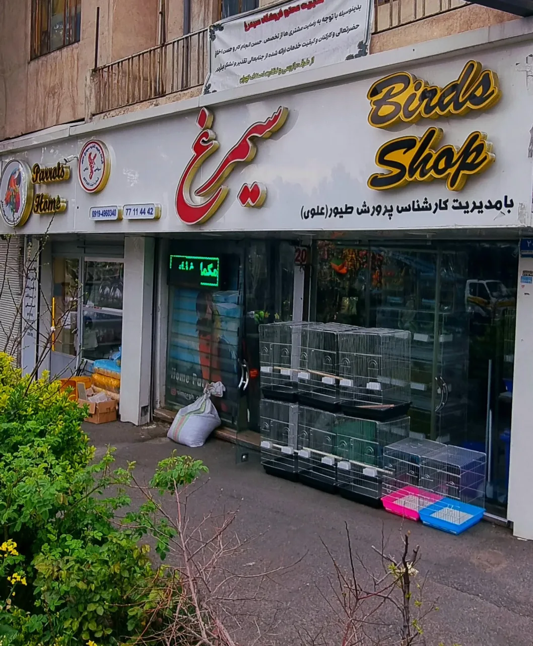 فروشگاه سیمرغ
