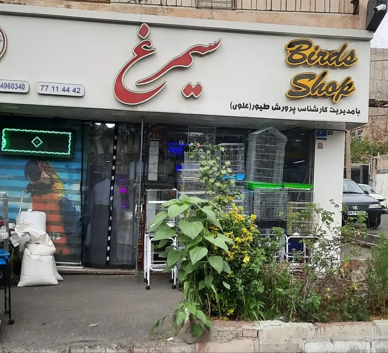 فروشگاه سیمرغ - تصویر 2