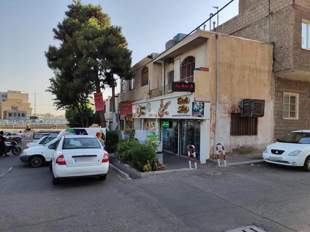 فروشگاه سیمرغ - تصویر 3