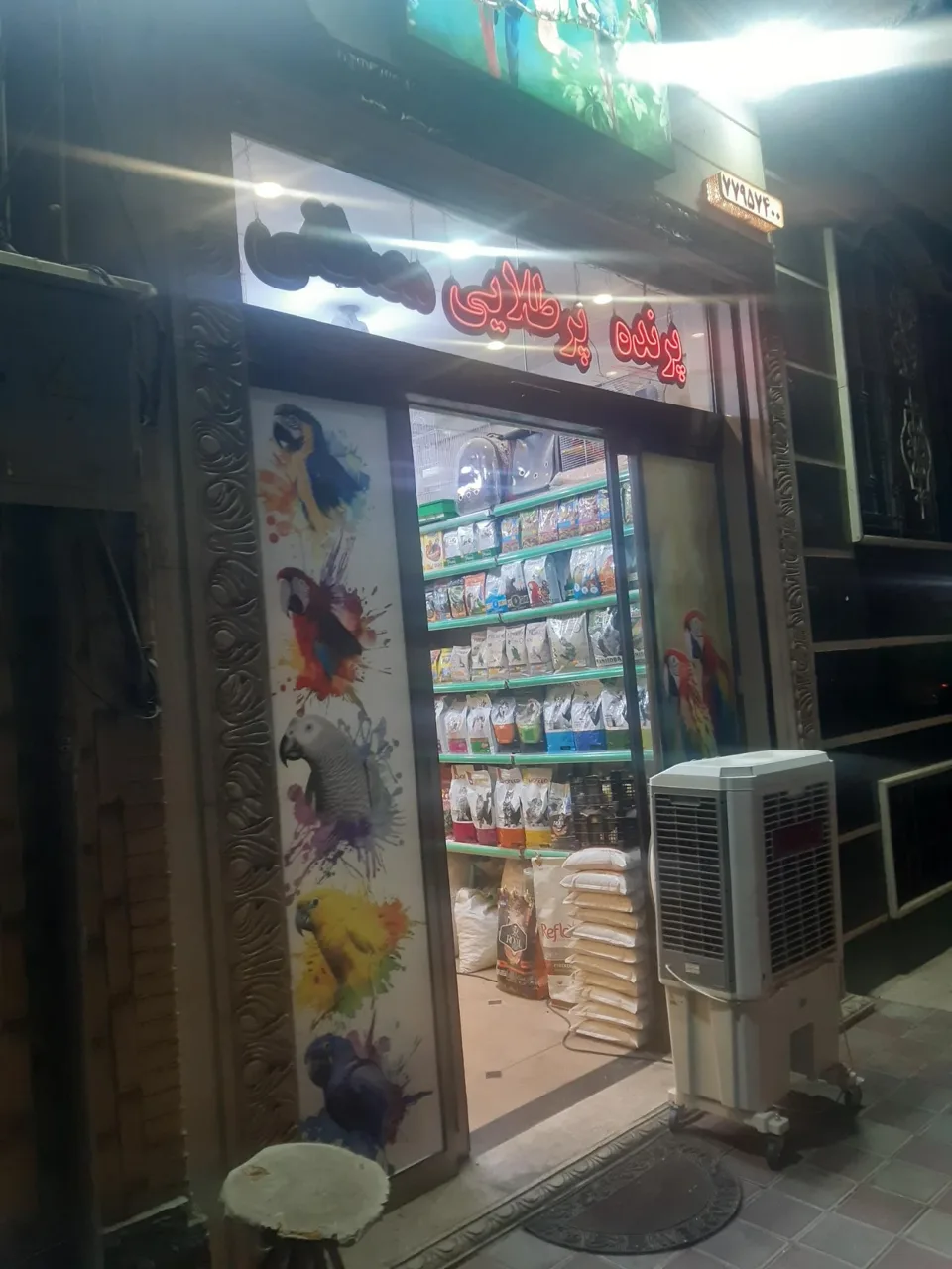 پت شاپ پرنده پرطلایی مصطفی - تصویر 3