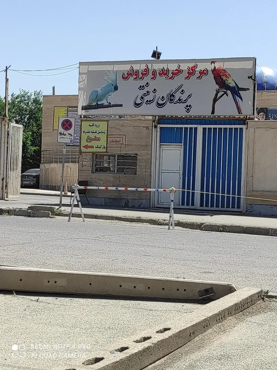 بازار پرندگان خلیج فارس - تصویر 2