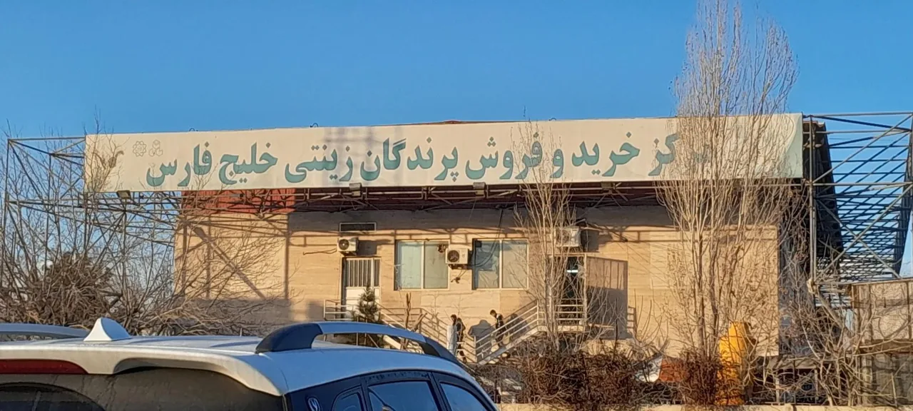 بازار پرندگان خلیج فارس - تصویر 5