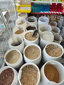 پرنده سرای سیمرغ