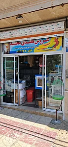 پرنده فروشی محمد