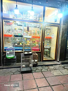 سرزمین پرندگان بهزاد