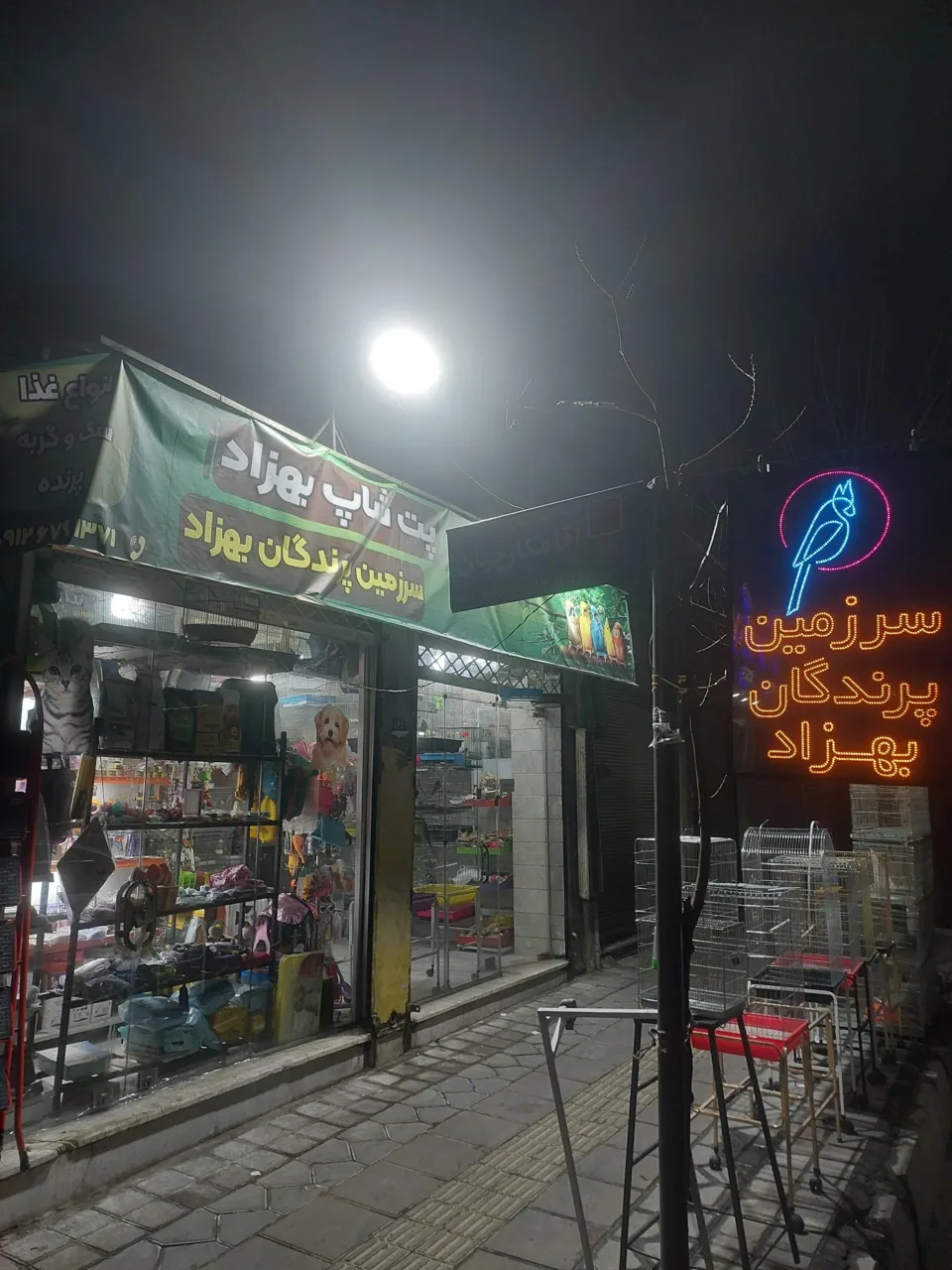 سرزمین پرندگان بهزاد - تصویر 2