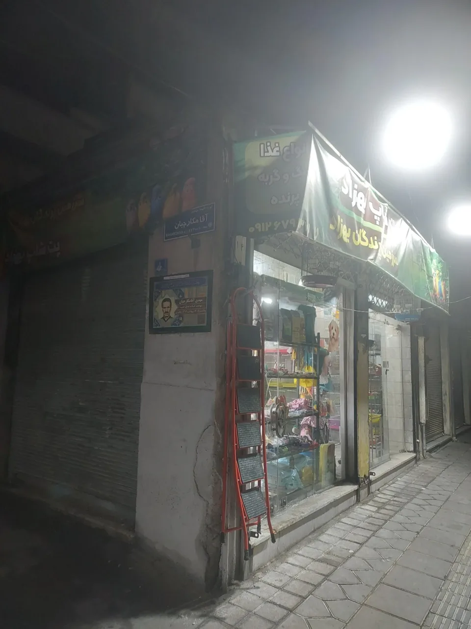 سرزمین پرندگان بهزاد - تصویر 3
