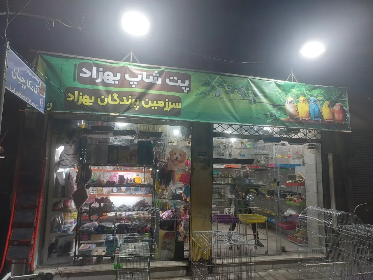 سرزمین پرندگان بهزاد - تصویر 4