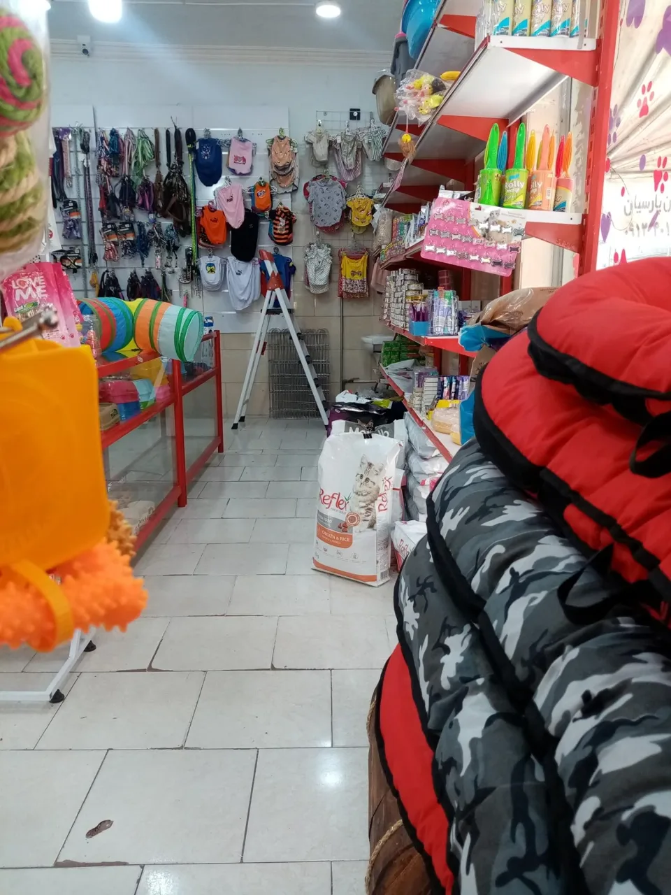 پت شاپ دلسا - تصویر 5