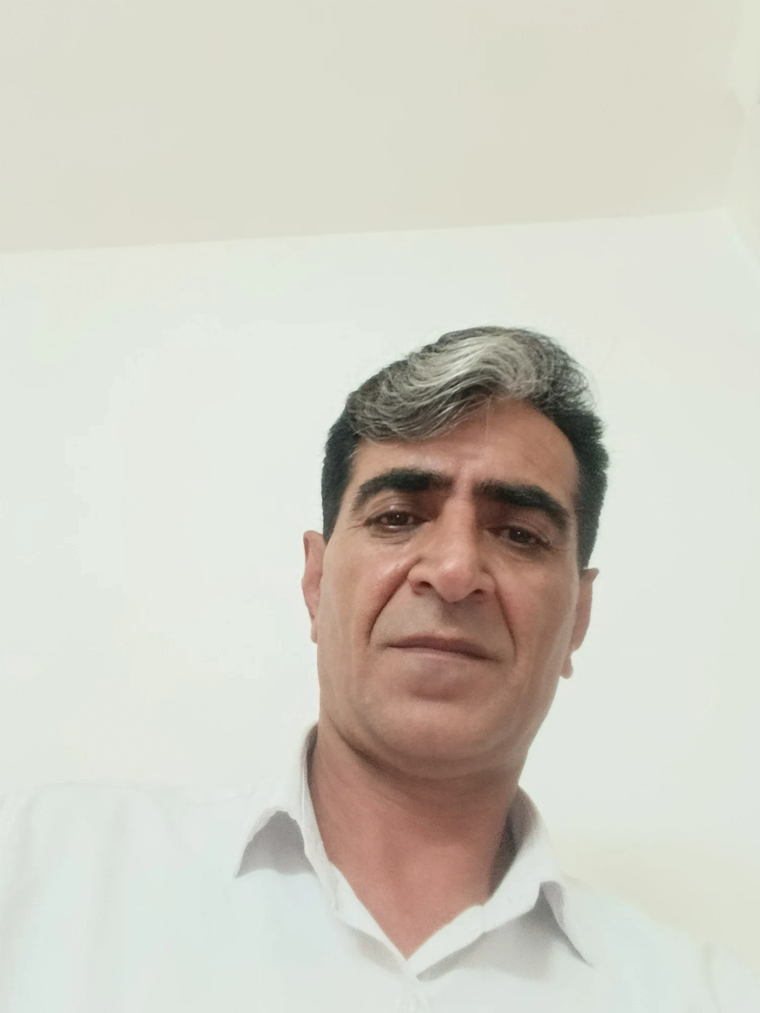 مهرداد حسینی محتشم وکیل و کارشناس ارشد - تصویر 4