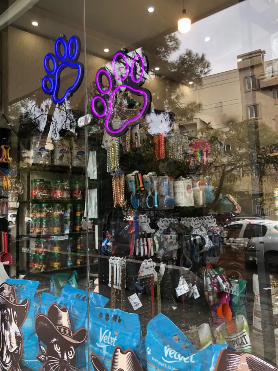 دکان پت شاپ - تصویر 4