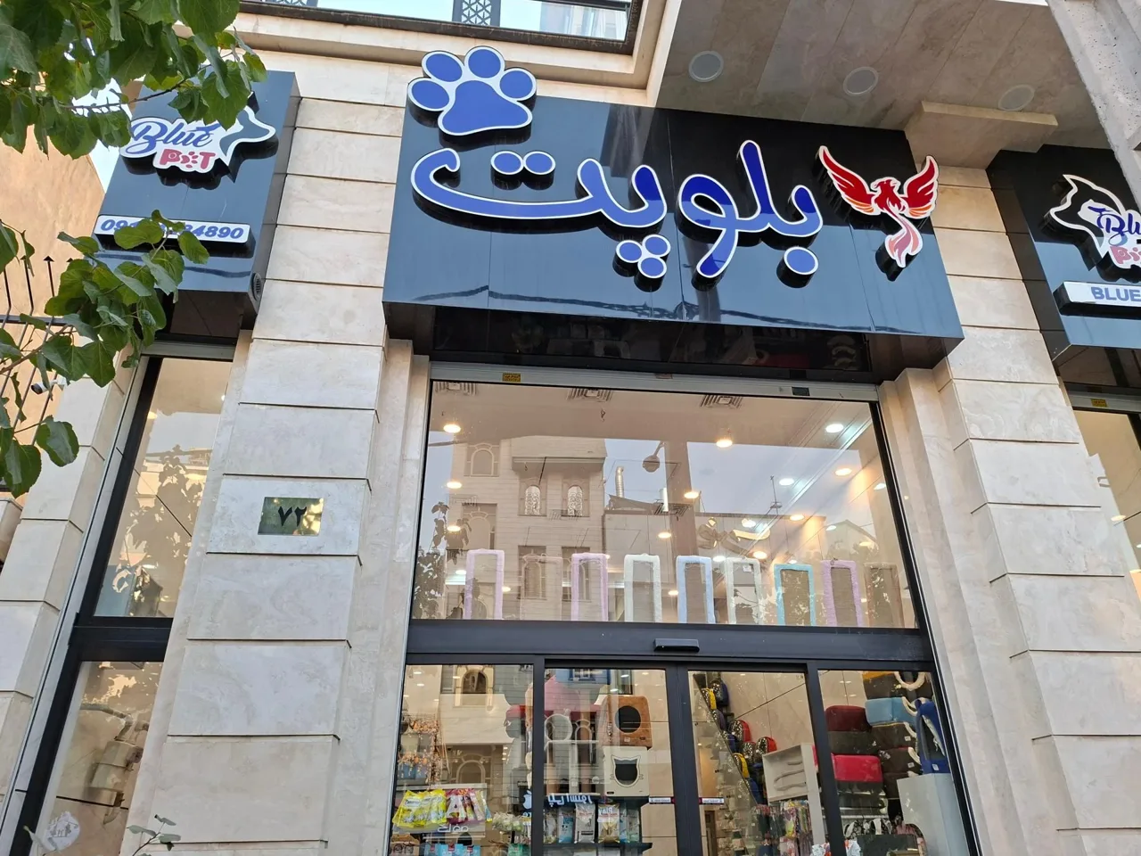 بلوپت