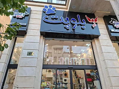 بلوپت