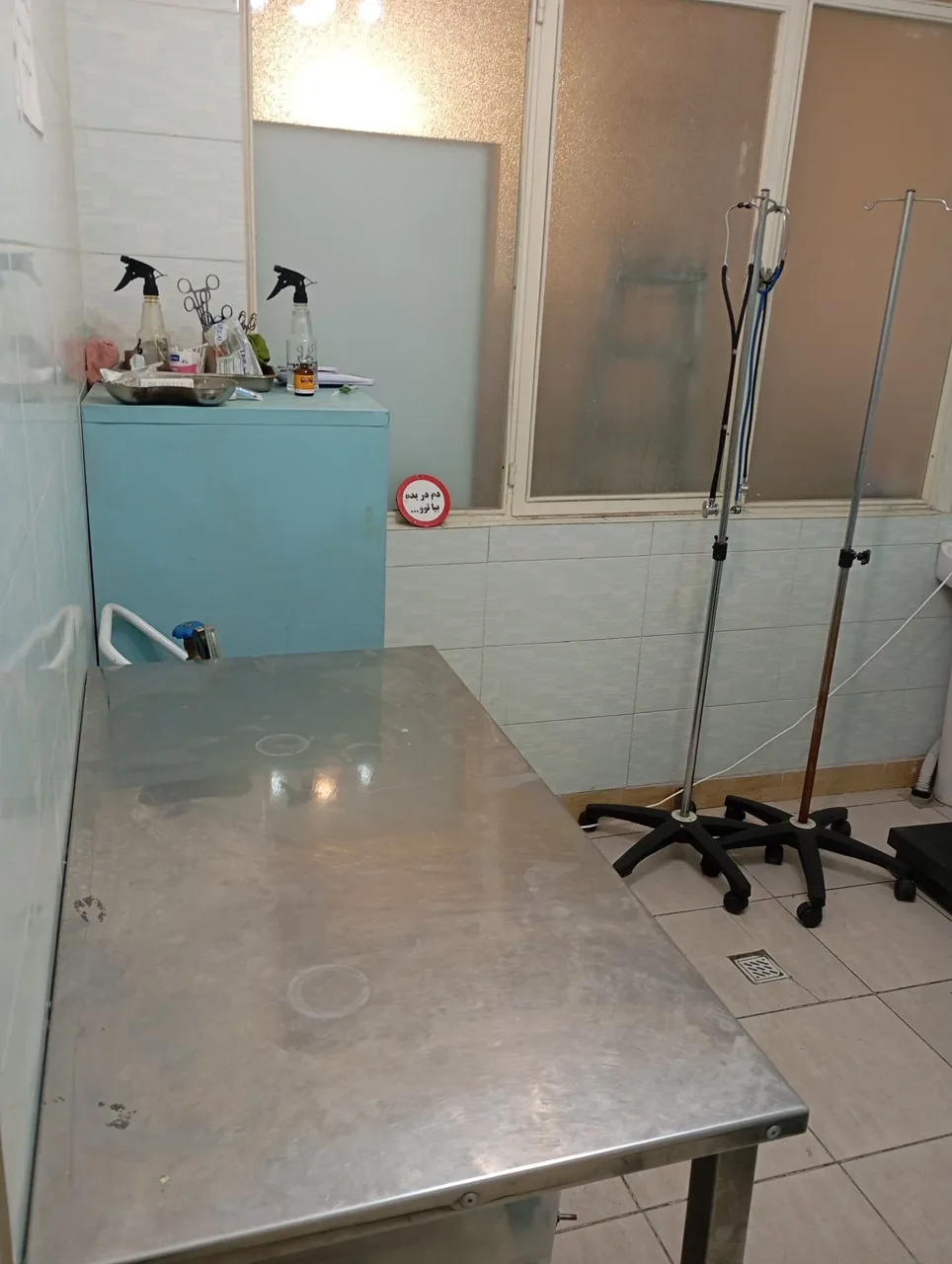 کلینیک دامپزشکی و پت شاپ سبلان - تصویر 4