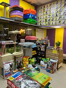 پت شاپ چیزمیز پت